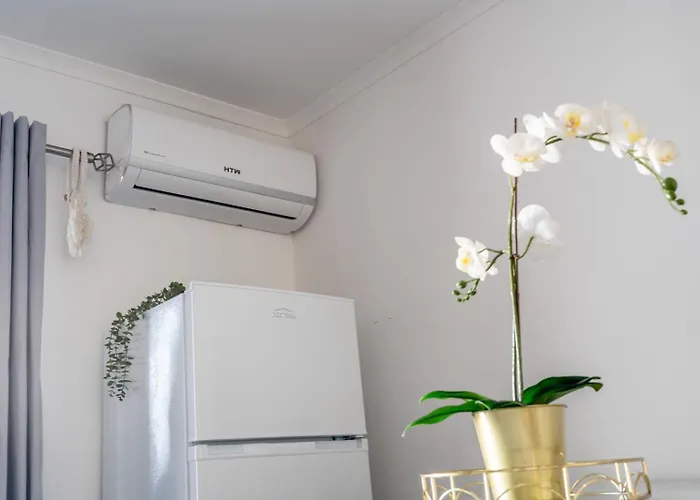 Oura Vibes By Ricardo Albufeira